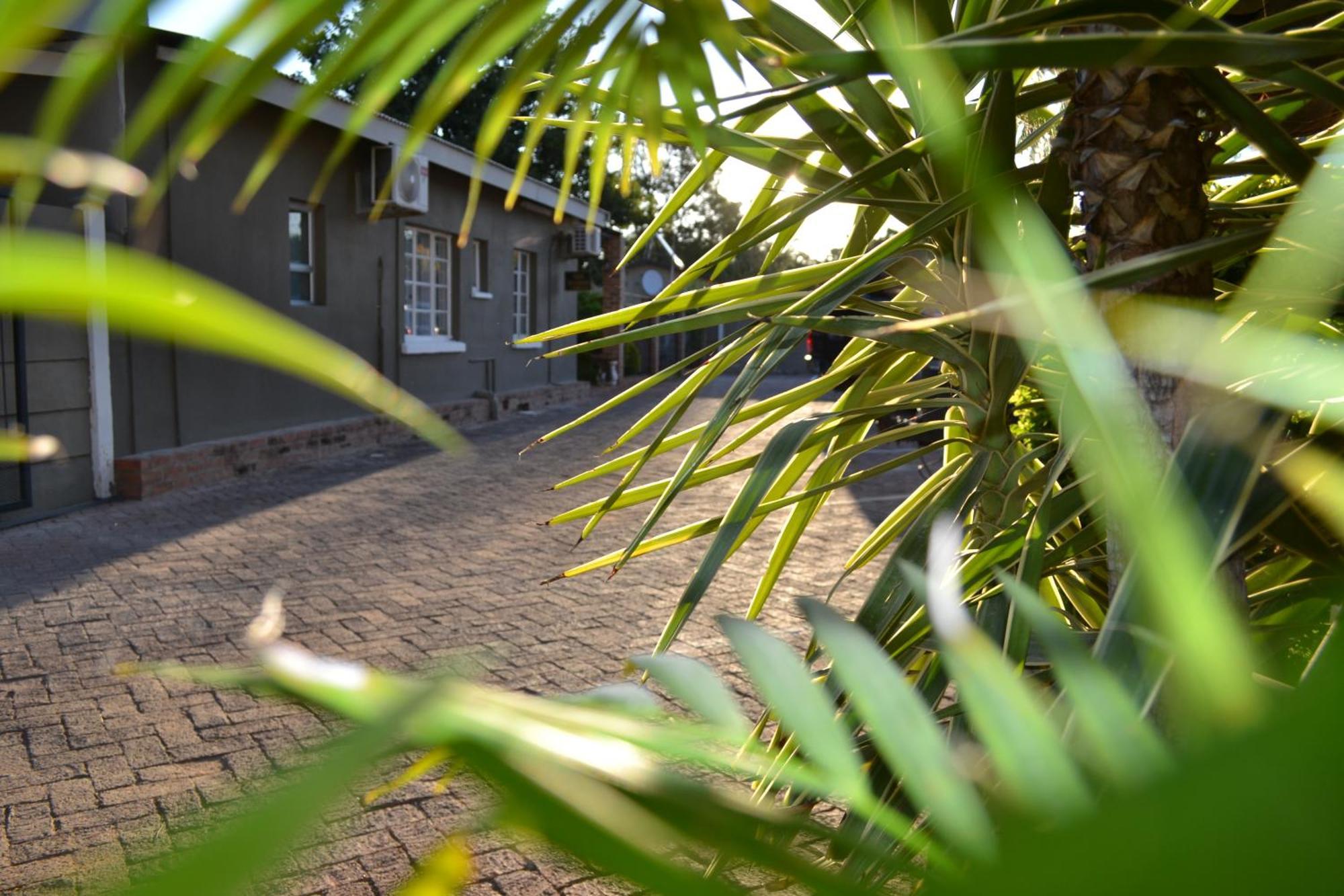 Travel North Guesthouse Tsumeb Extérieur photo